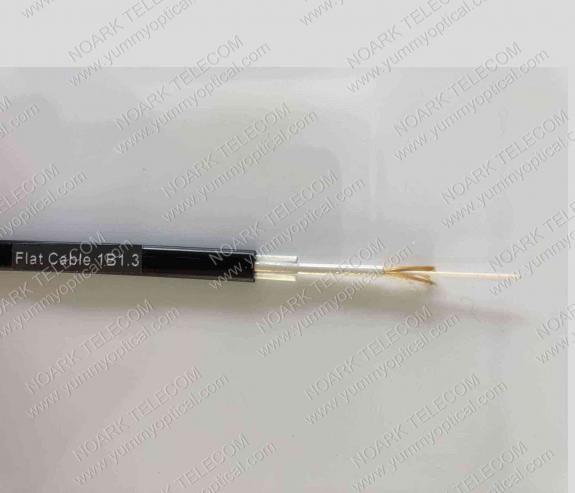 Flat Cable 1B1.3